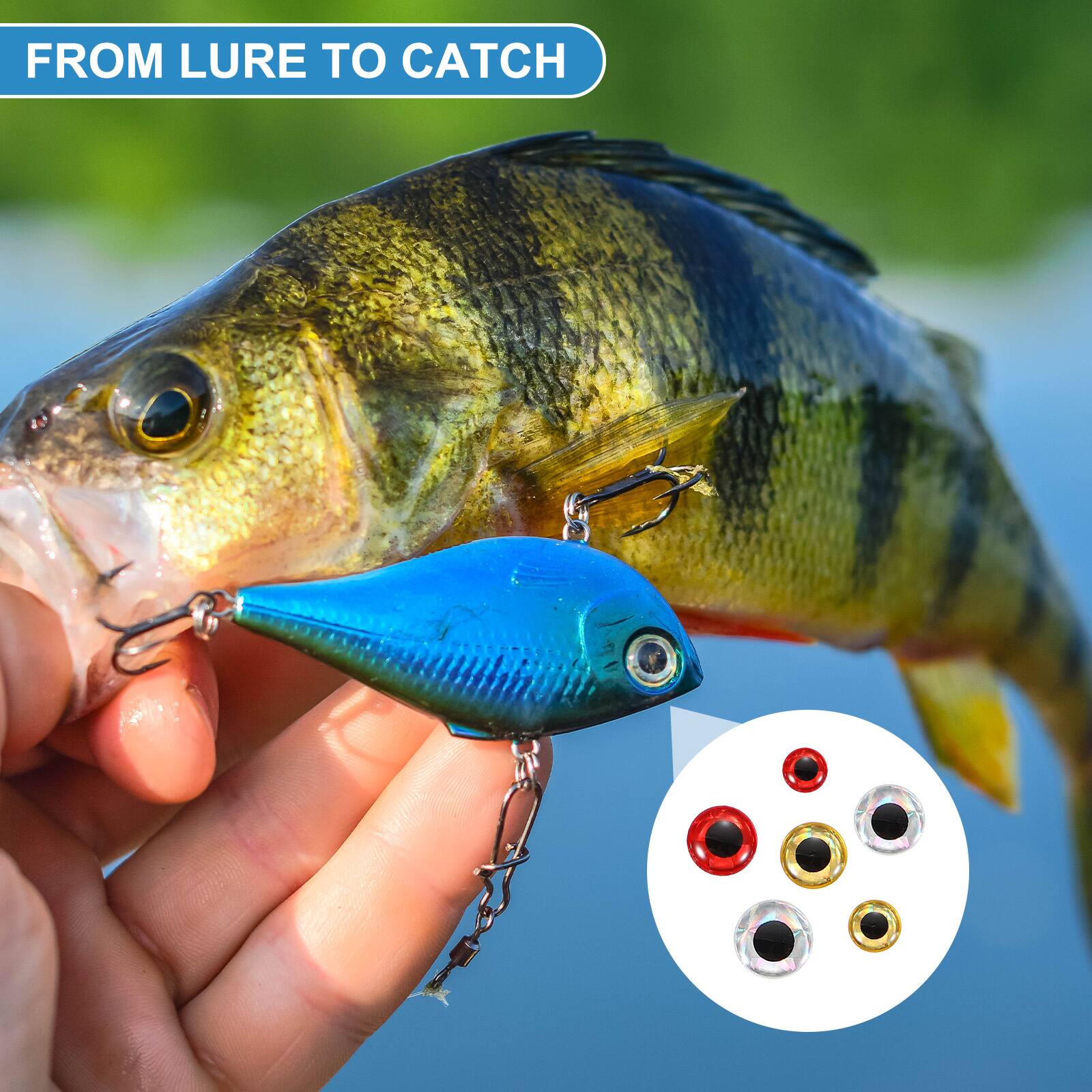 FROM LURE TO CATCH