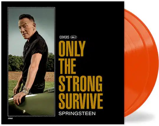 COVERS
Vol. 1
ONLY THE STRONG SURVIVE
SPRINGSTEEN
STEREO