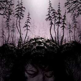 Birds of Passage - This Kindly Slumber - VINYL LP