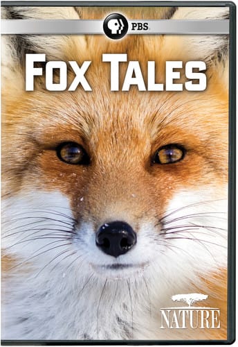 NATURE: Fox Tales  - DVD