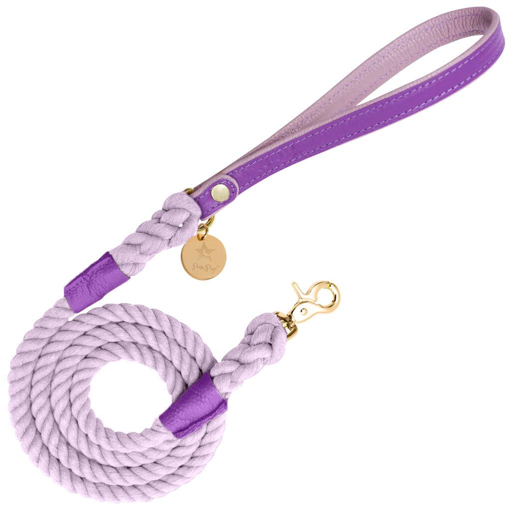 Front. PoisePup - PoisePup Pet Dog 5ft Long Leash - Purple | Lilac.
