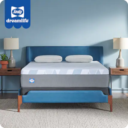 Sealy DreamLife
