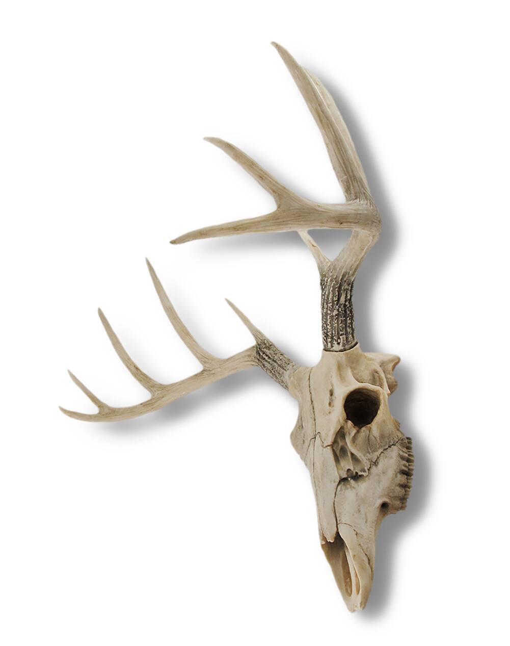 Alt View 1. Zeckos - 10 Point Buck Deer Skull Bust Wall Hanging - Natural.