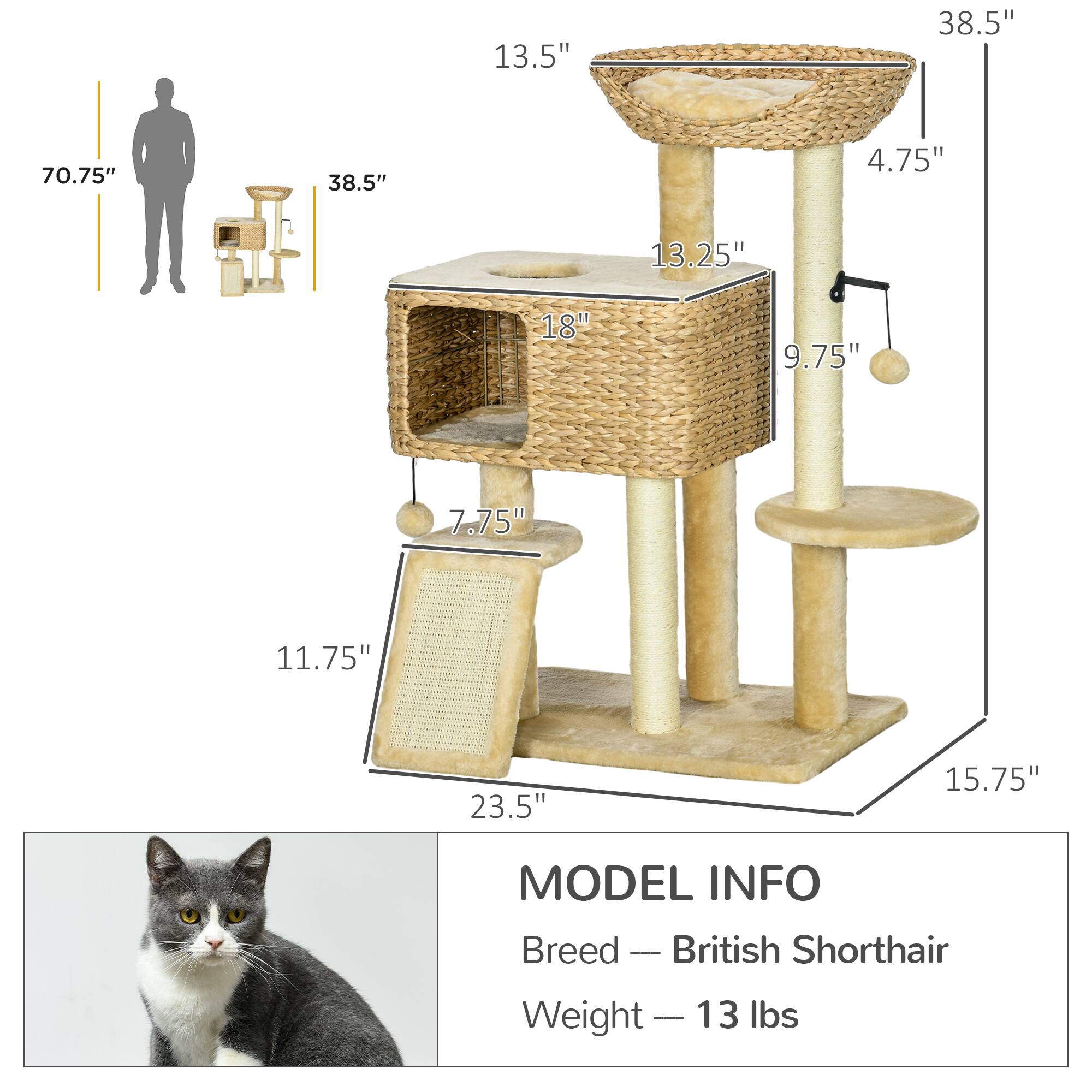 13.5"  
38.5"  
70.75"  
38.5"  
4.75"  
13.25"  
18"  
9.75"  
7.75"  
11.75"  
23.5"  
15.75"  

MODEL INFO  
Breed — British Shorthair  
Weight — 13 lbs