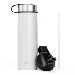 Costway - 22 oz Double Wall Insulated Water Bottle Stainless Steel w/ 2 Lids & Straw - Gray