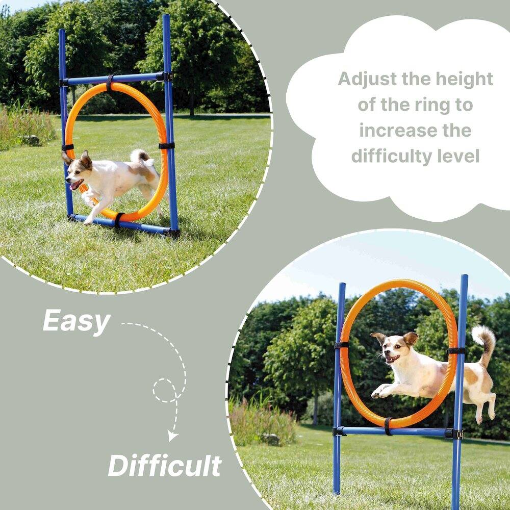Adjust the height of the ring to increase the difficulty level

Easy  
Difficult