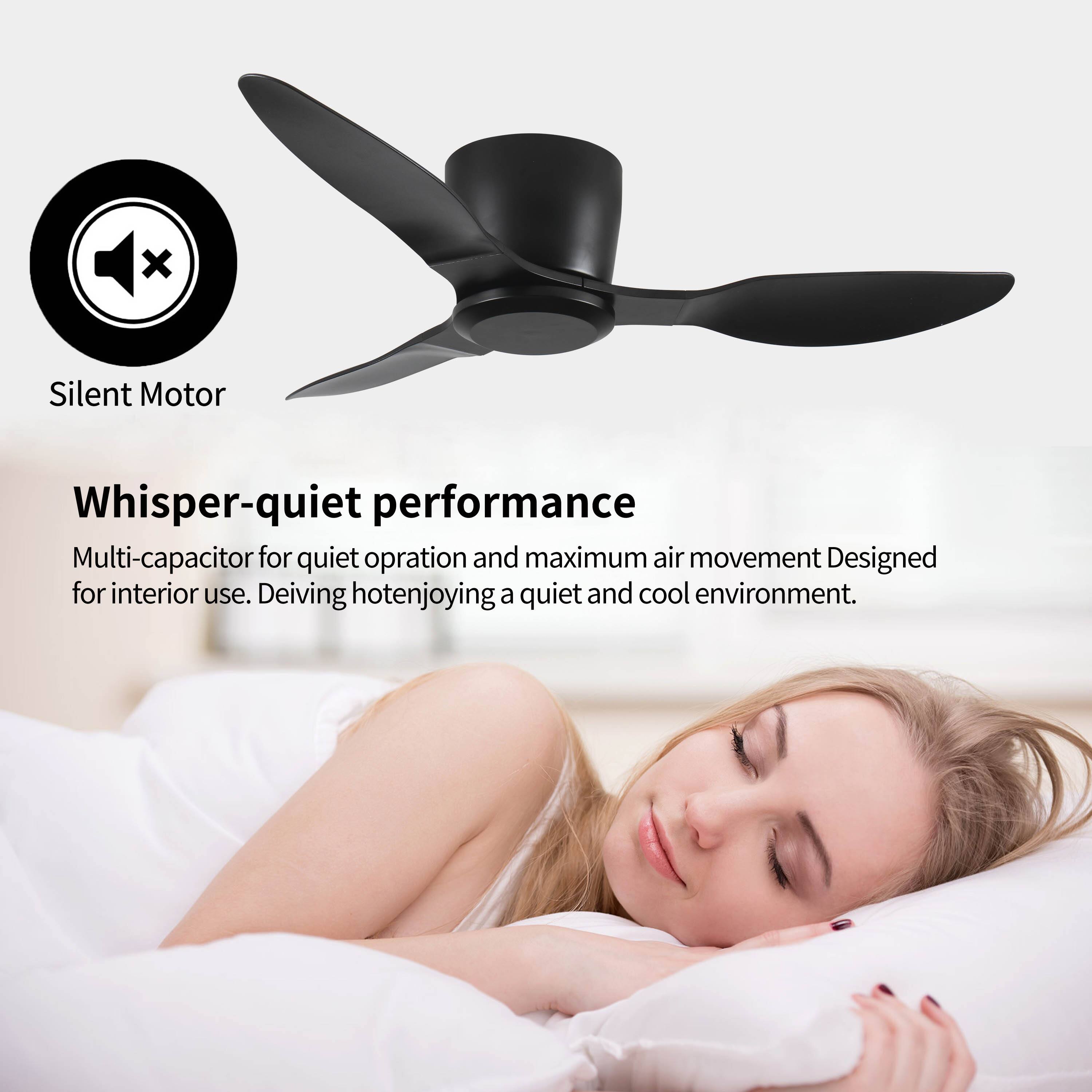 Silent Motor

Whisper-quiet performance

Multi-capacitor for quiet operation and maximum air movement. Designed for interior use. Deiving hotenjoying a quiet and cool environment.