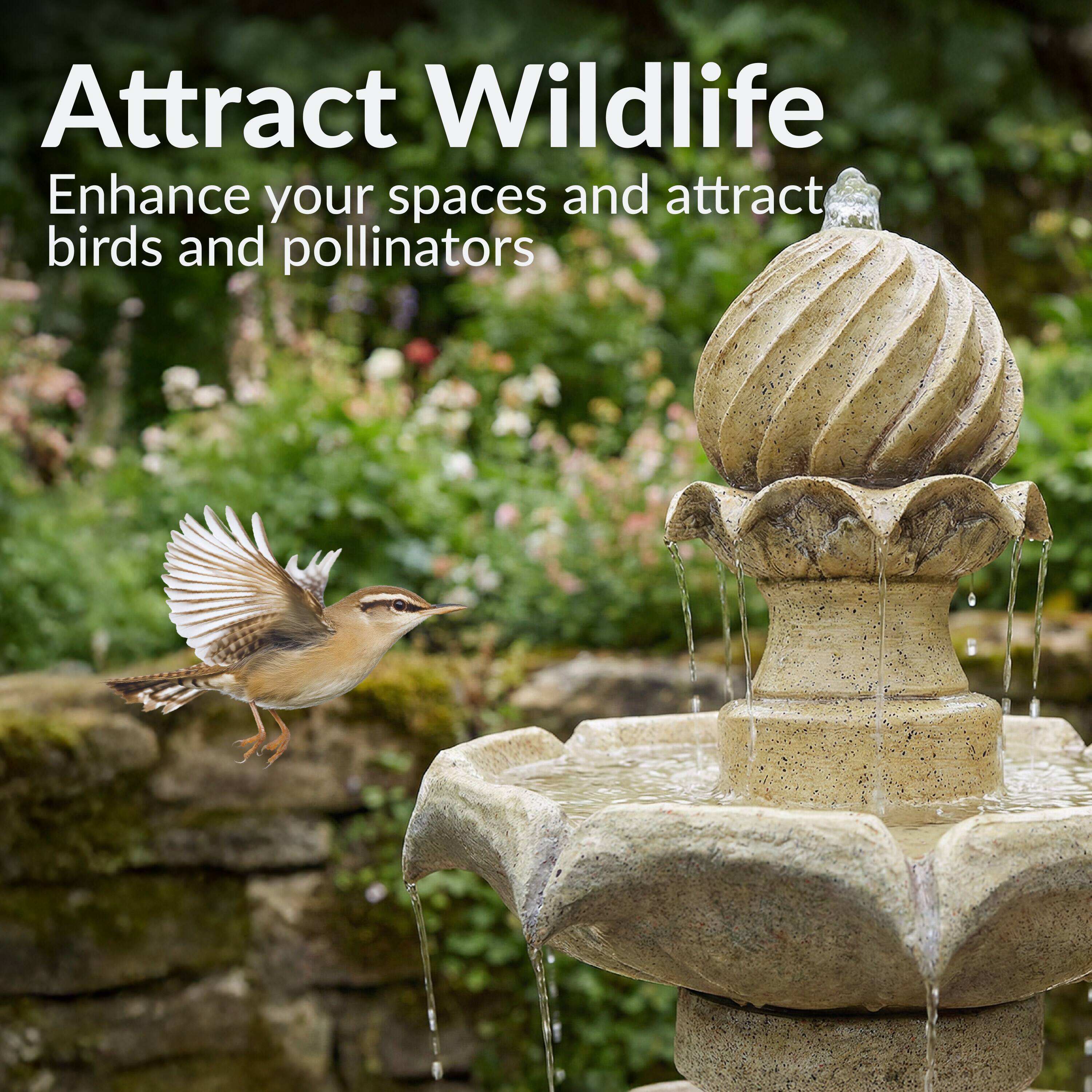 Attract Wildlife  
Enhance your spaces and attract birds and pollinators