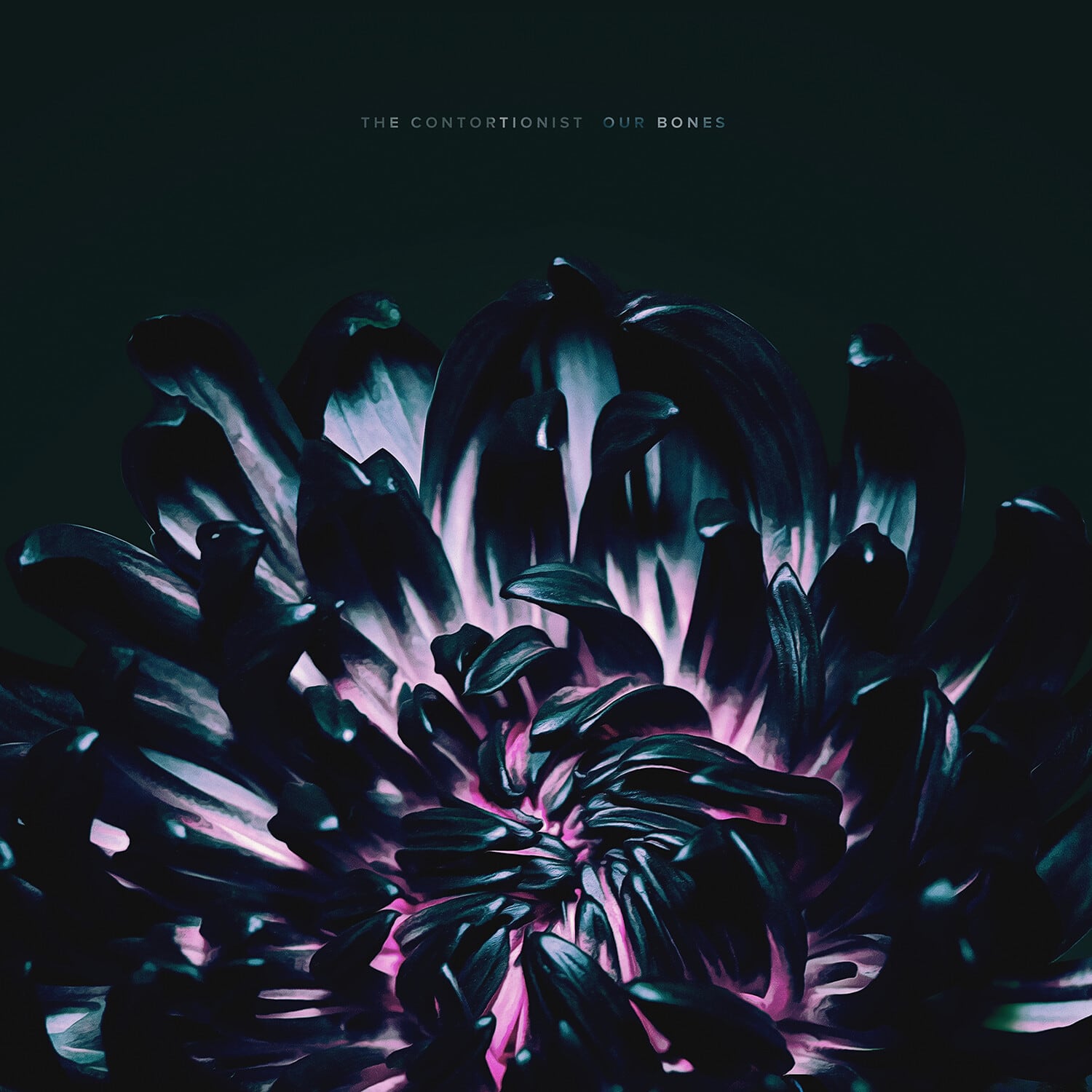 The Contortionist - Our Bones  - COMPACT DISCS