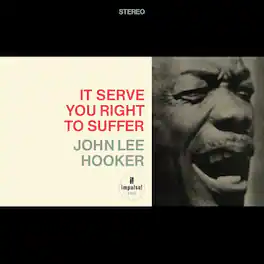 John Lee Hooker - It Serve You Right To Suffer (Verve Acoustic Sounds Series) - VINYL LP