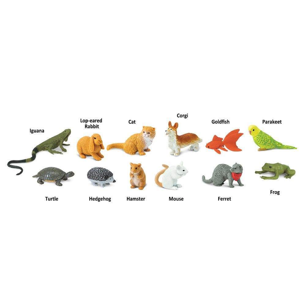 Iguana  
Lop-eared Rabbit  
Cat  
Corgi  
Goldfish  
Parakeet  
Turtle  
Hedgehog  
Hamster  
Mouse  
Ferret  
Frog