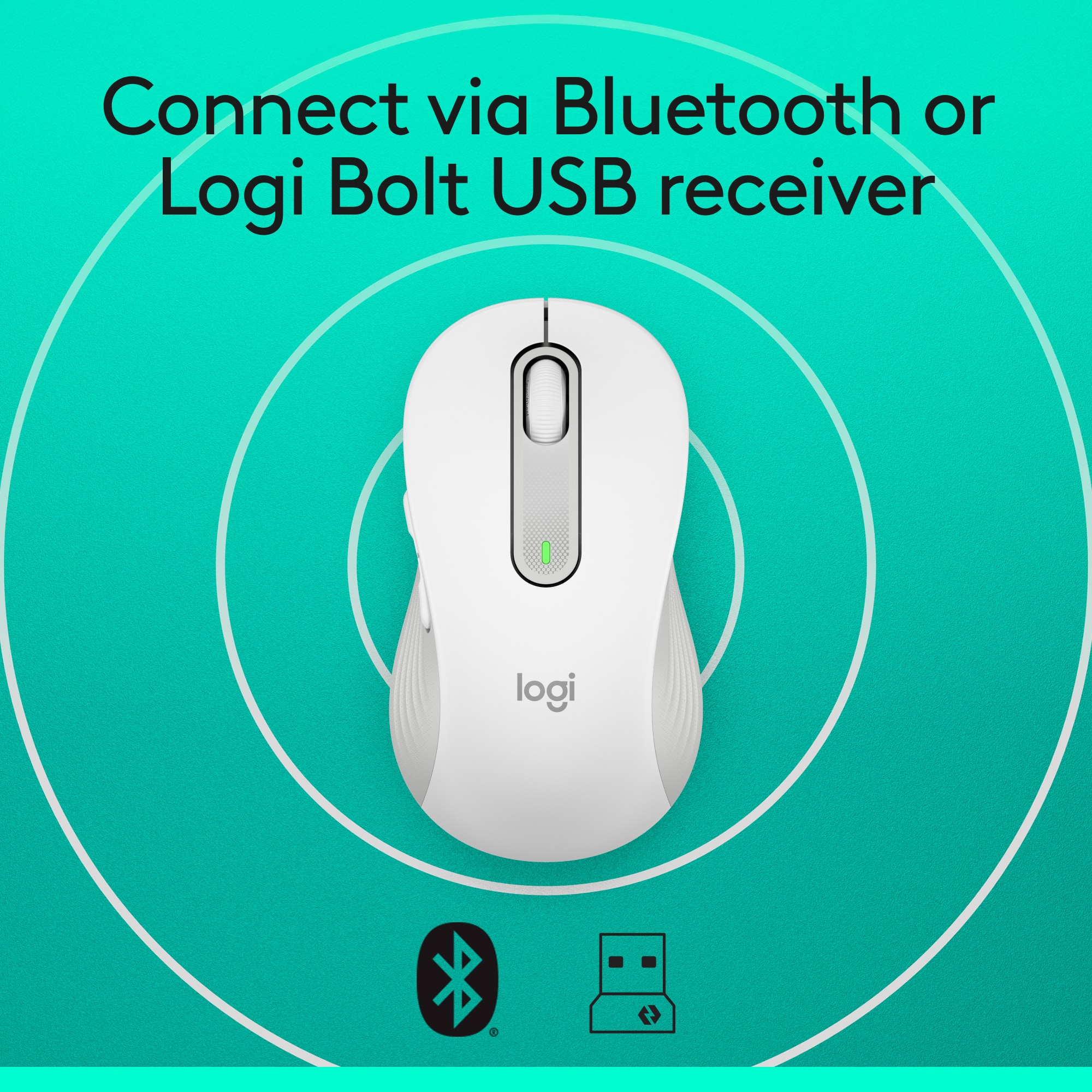 Connect via Bluetooth or Logi Bolt USB receiver.