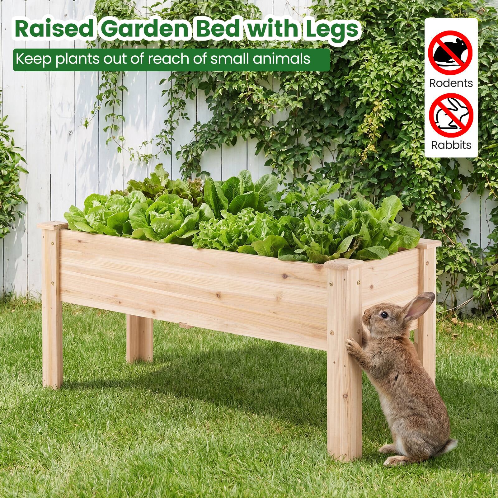 Raised Garden Bed with Legs  
Keep plants out of reach of small animals  
Rodents  
Rabbits