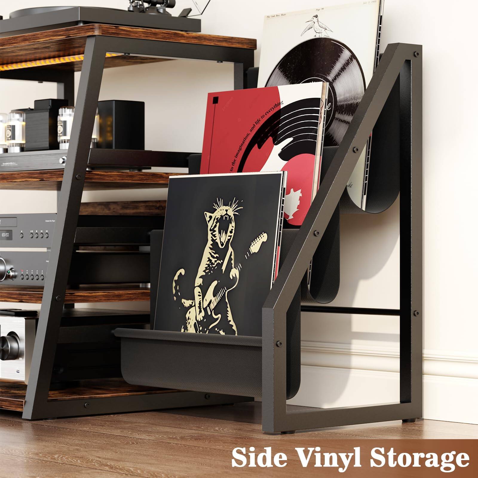 Side Vinyl Storage
