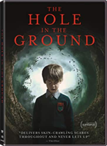 The Hole In The Ground  - DVD