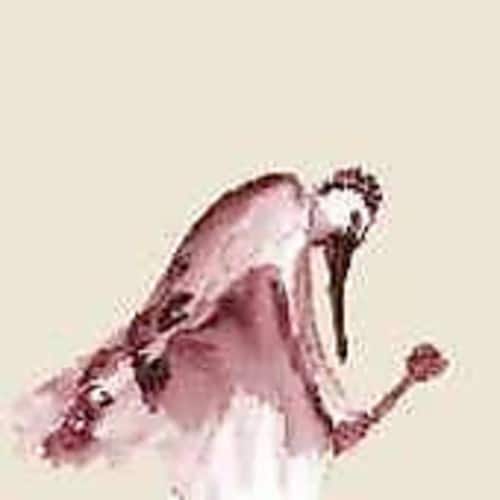 From Quagmire - Habitats in the Wound  - COMPACT DISCS