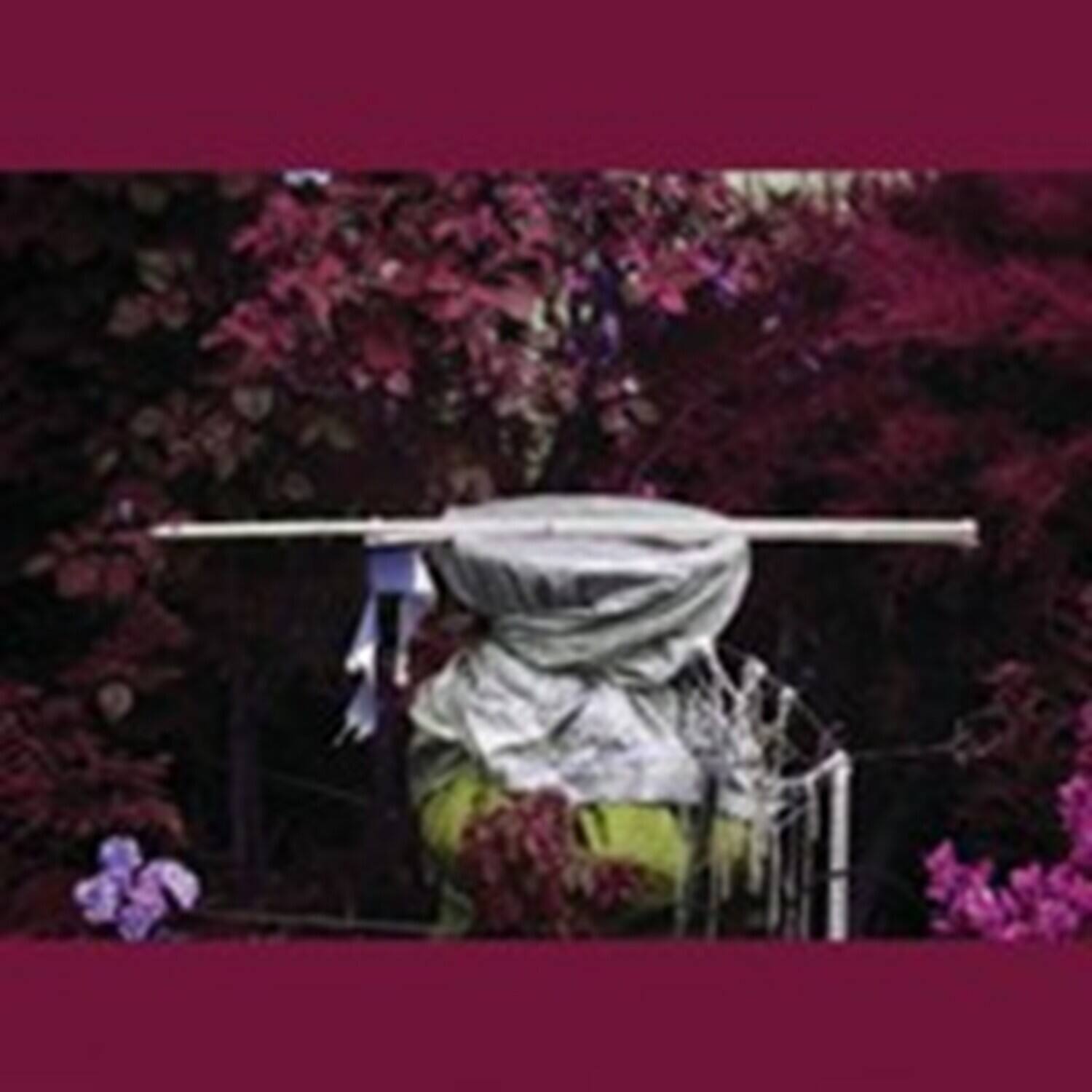 Ava Mendoza - Alive Alone, Alive Together   - COMPACT DISCS [CD] price history on PriceWatchPro