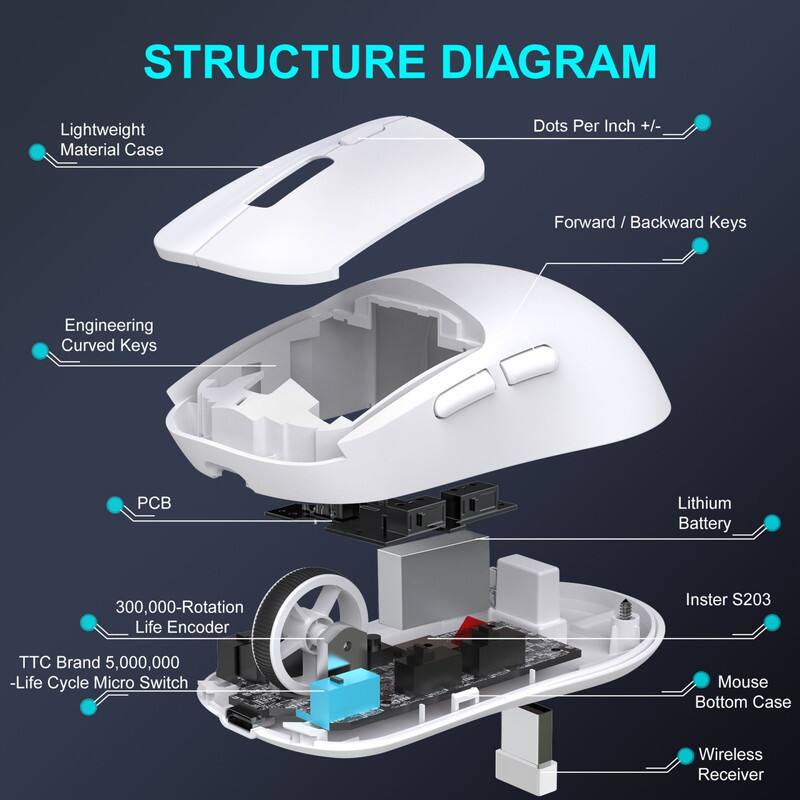 STRUCTURE DIAGRAM

- Lightweight Material Case
- Dots Per Inch +/-_
- Forward/Backward Keys
- Engineering Curved Keys
- Lithium Battery
- 300,000-Rotation Life Encoder
- TTC Brand 5,000,000 -Life Cycle Micro Switch
- Inster S203
- Mouse Bottom Case
- Wireless Receiver
- PCB