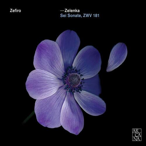 Zefiro  
Zelenka  
Sei Sonate, ZWV 181  

ARCA NA