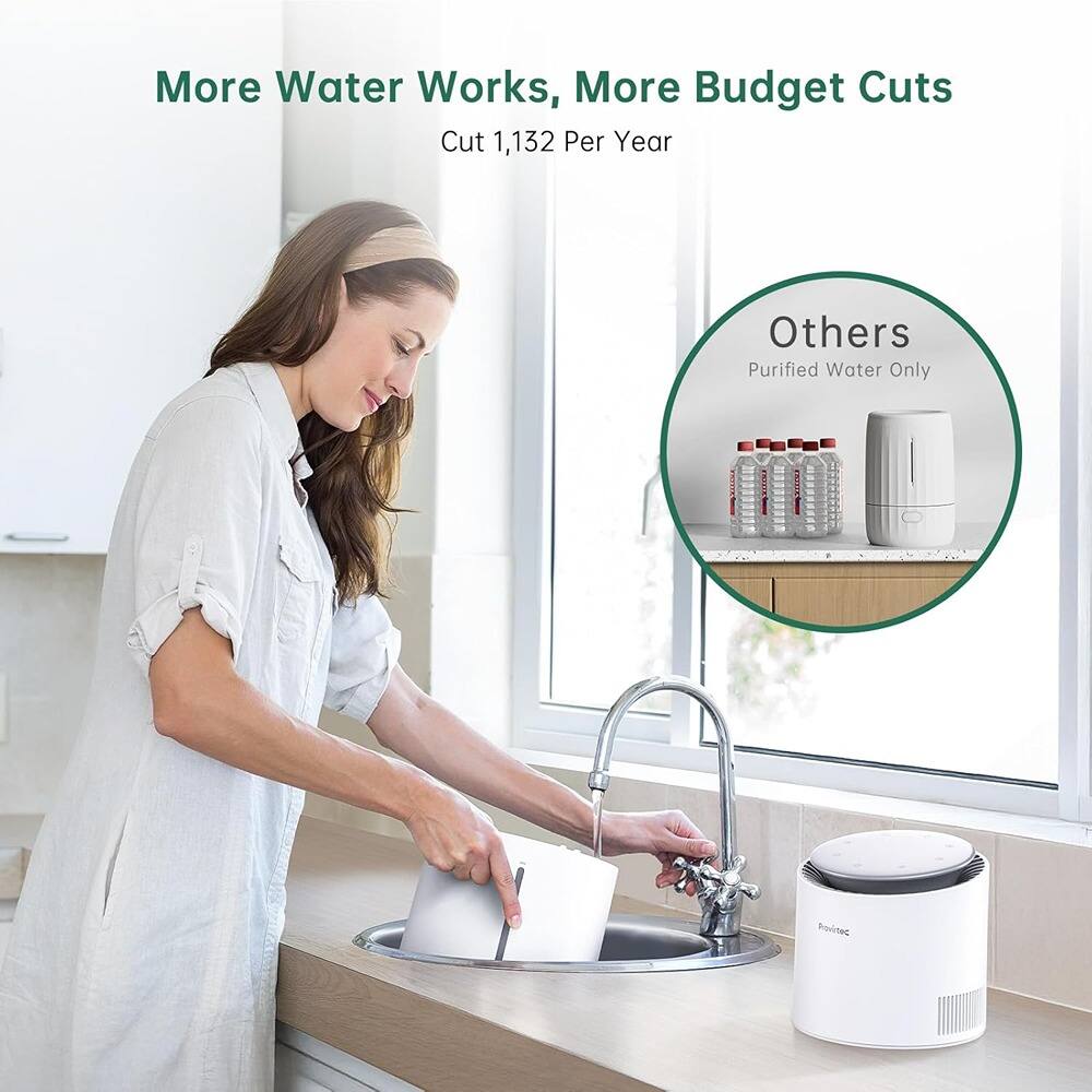 More Water Works, More Budget Cuts  
Cut 1,132 Per Year  

Others  
Purified Water Only