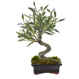 BreeBe - 13” Mini Olive Artificial Bonsai Tree - Green