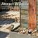 Attract Wildlife
Enhance your spaces and attract birds and pollinators