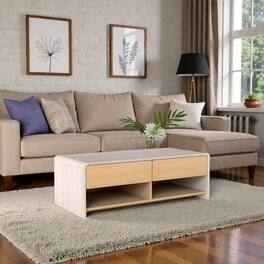 Hivvago - Stylish Coffee Table with Ample Storage: 2 Drawers and 2 Shelves - Natural & White