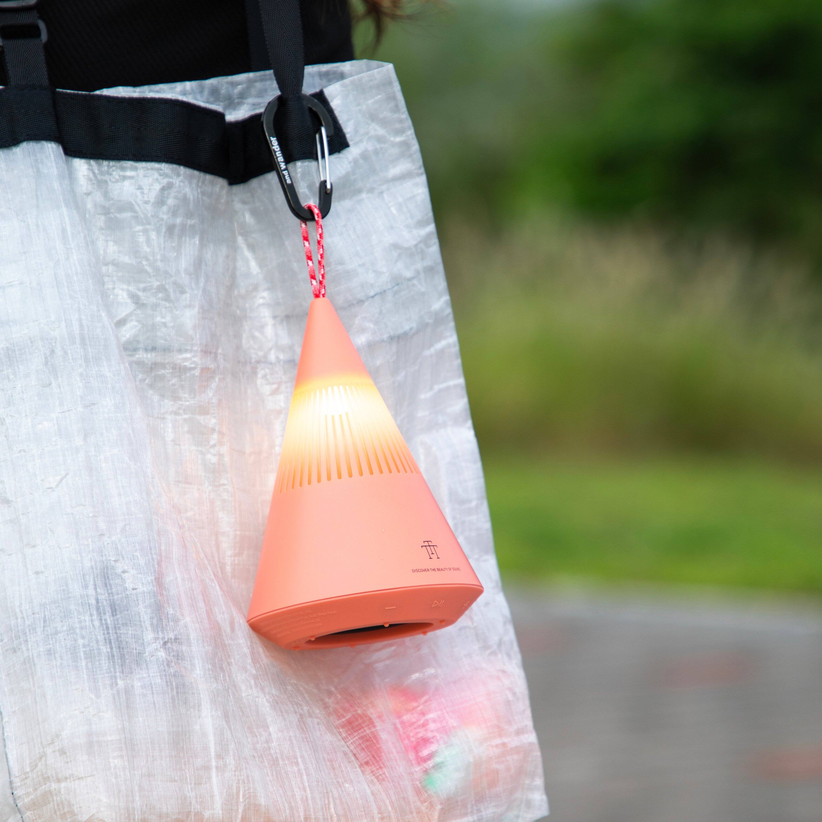 The text on the image reads:

"THE
DESIGNER HAND BAG CO.
LONDON"