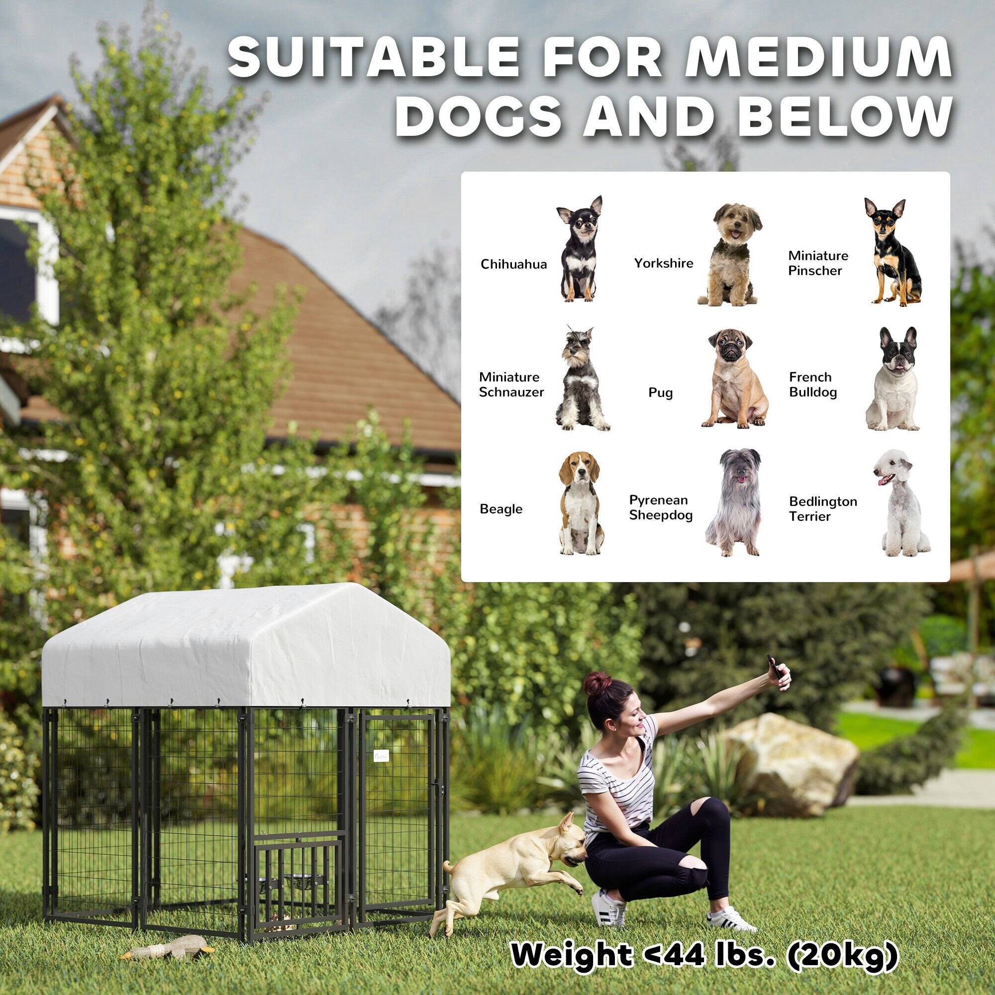 SUITABLE FOR MEDIUM DOGS AND BELOW

Chihuahua  
Yorkshire  
Miniature Pinscher  
Miniature Schnauzer  
Pug  
French Bulldog  
Beagle  
Pyrenean Sheepdog  
Bedlington Terrier  

Weight <44 lbs. (20kg)