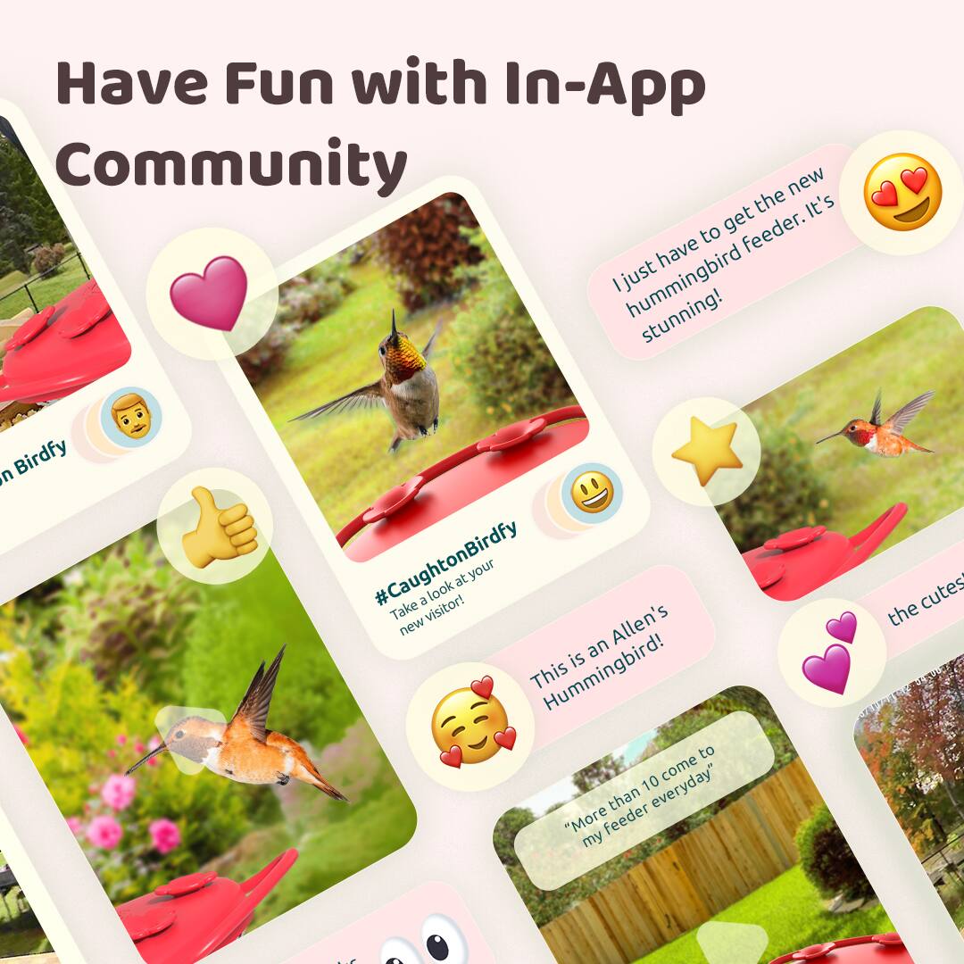Have Fun with In-App Community new the It's to get feeder. have Ijust hummingbird stunning! n Birdfy #CaughtonBirdfy Take a visitor! look at atyour new Allen's is an This Hummingbird! to come 10 everyday" than "More feeder my cutes the".