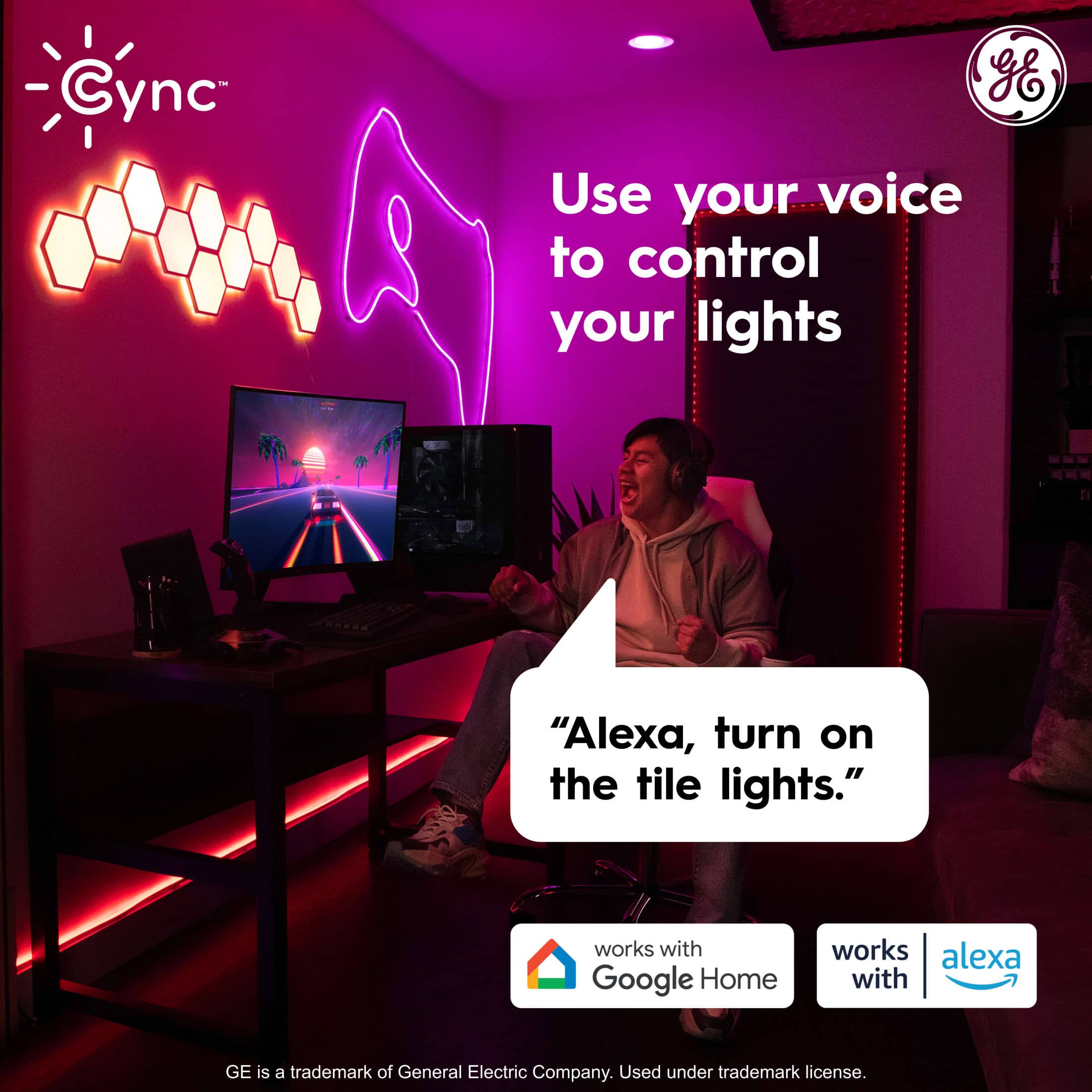 "Use your voice to control your lights 'Alexa, turn on the tile lights.' works with Google Home and works with Alexa."
