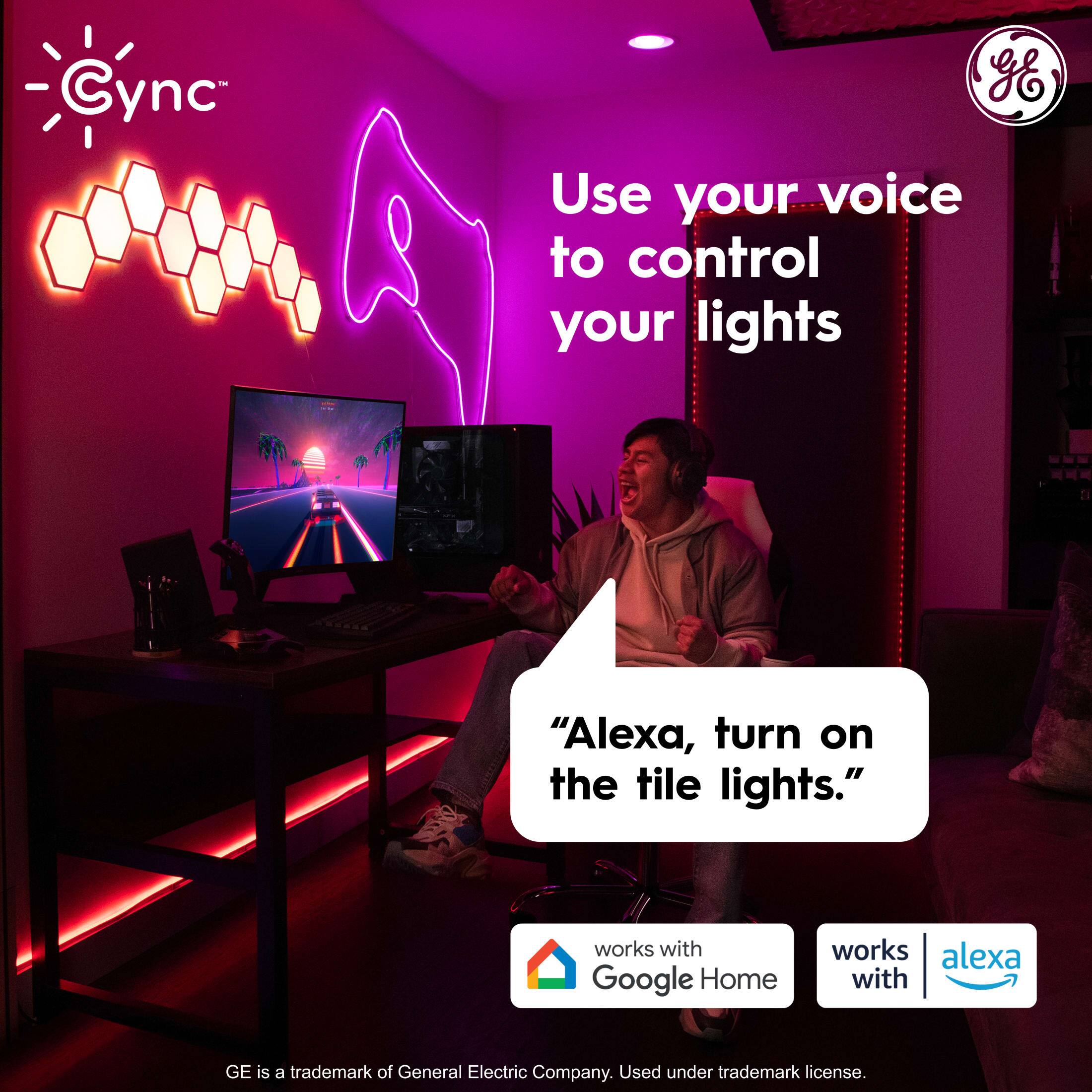 "Use your voice to control your lights 'Alexa, turn on the tile lights.' works with Google Home and works with Alexa."