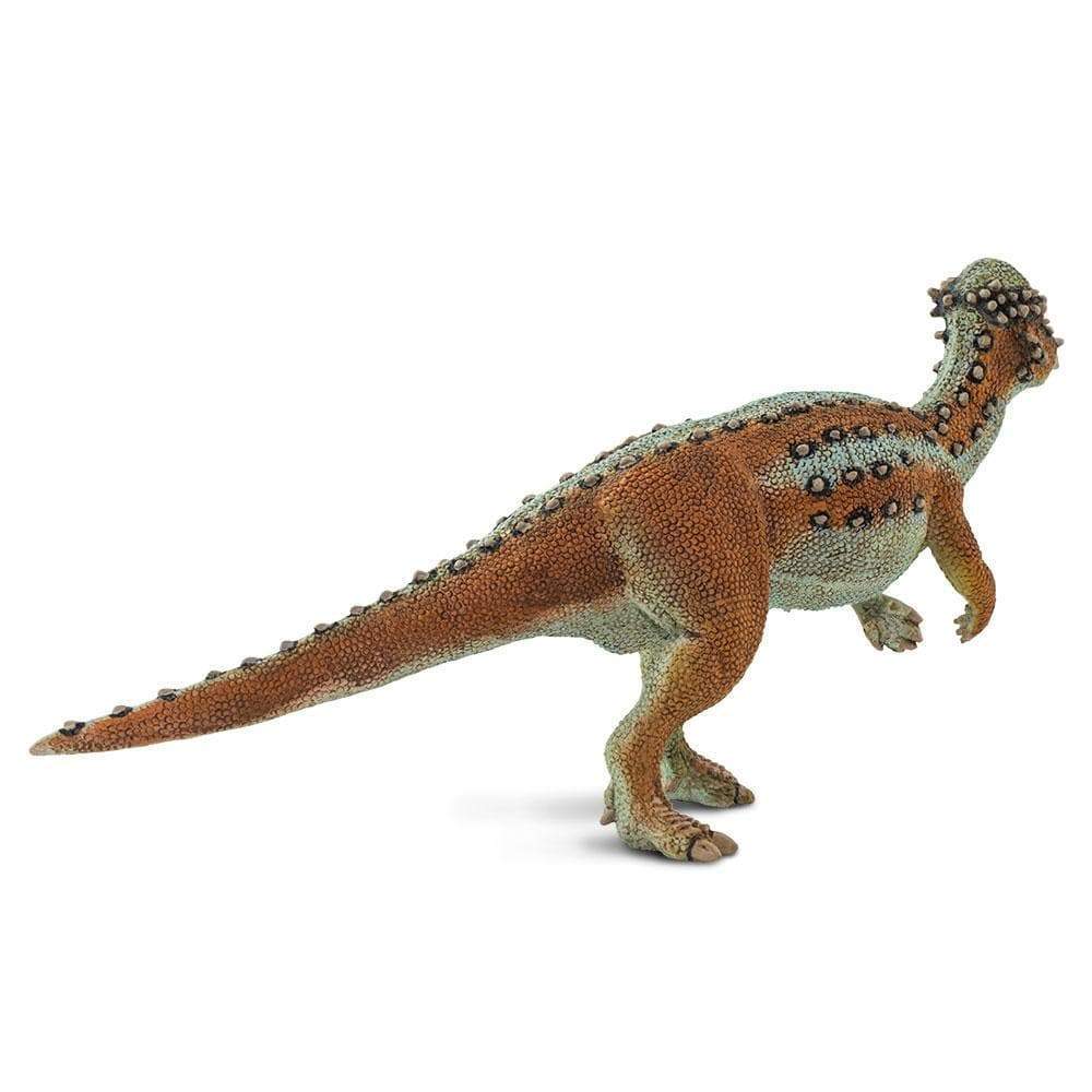 Alt View 3. Safari Ltd. - Pachycephalosaurus.