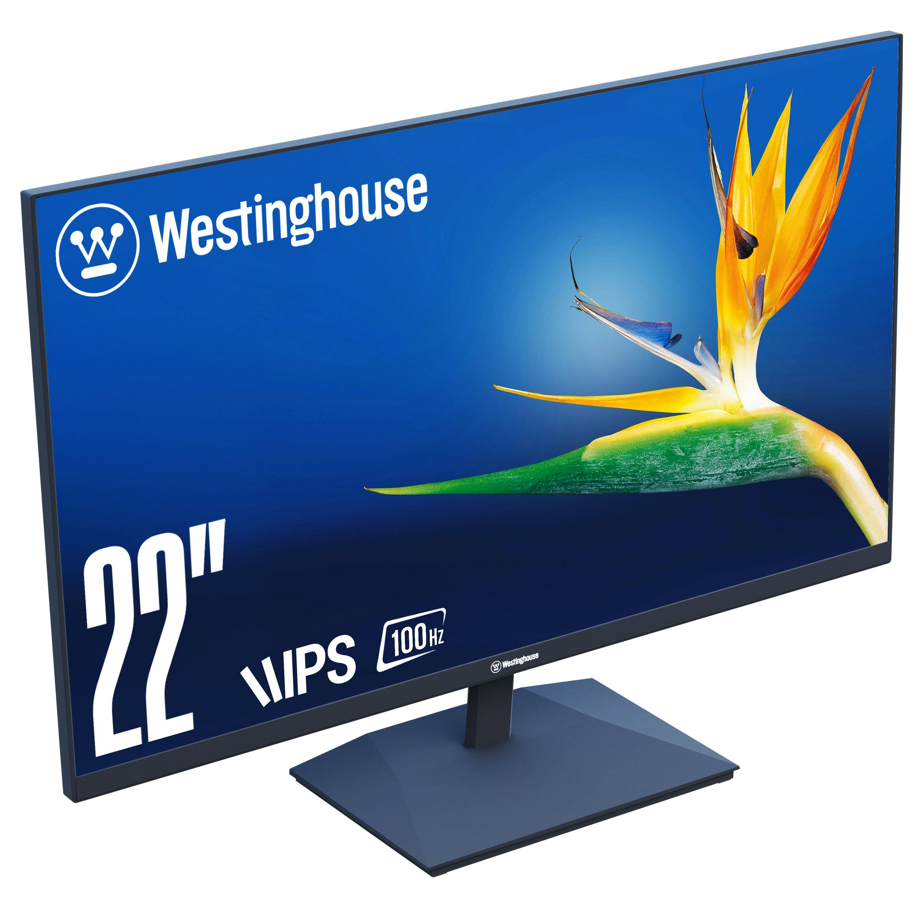 Westinghouse 22" 100Hz WIPS monitor.
