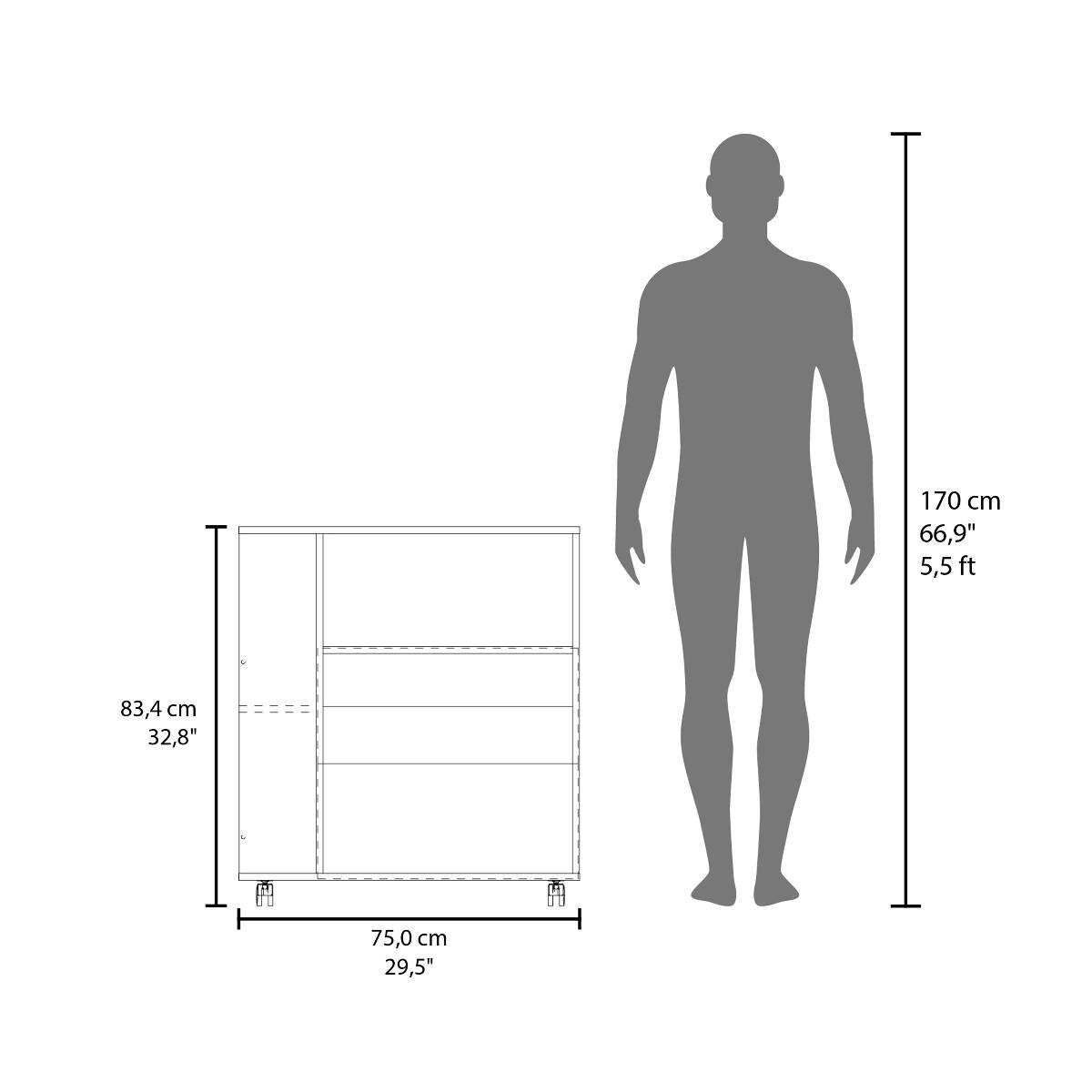 170 cm 66,9" 5,5ft  
83,4cm 32,8"  
75,0 cm 29,5"