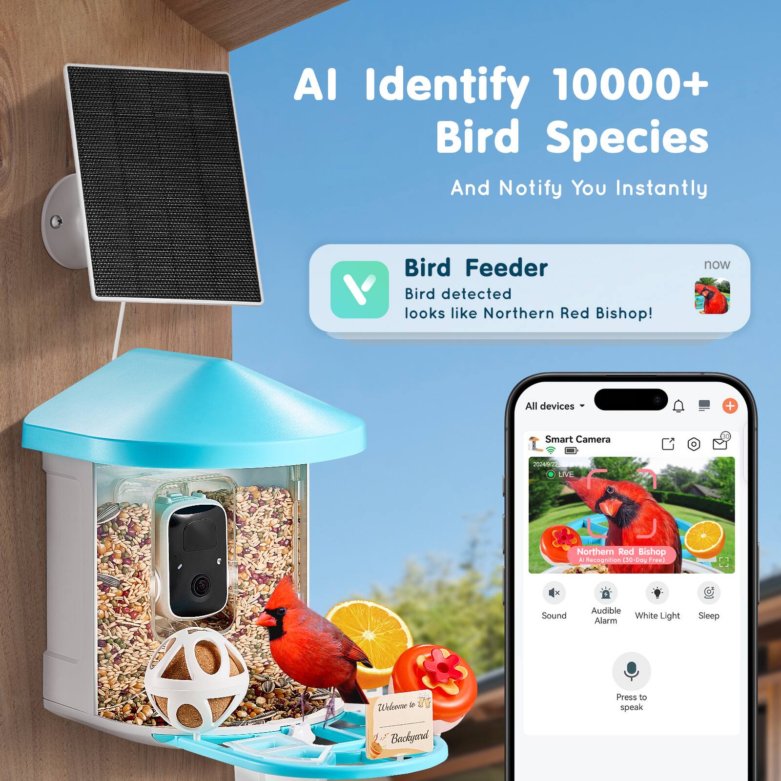 AI Identify 10,000+ Bird Species And Notify You Instantly

Bird Feeder
Bird detected looks like Northern Red Bishop!

All devices + Smart Camera

Northern Red Bishop
A Recoprtion Redd 110-00g

Sound Audible White Light Alarm Sleep

Webneme l Backyard

Press to speak