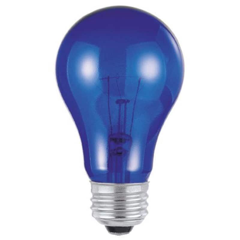 Westinghouse - 25 W A19 A-Line Incandescent Bulb E26 (Medium) Blue 1 pk