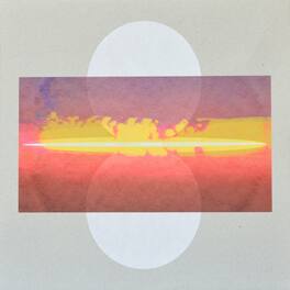 Drone Assembly - Drone Assembly - VINYL LP