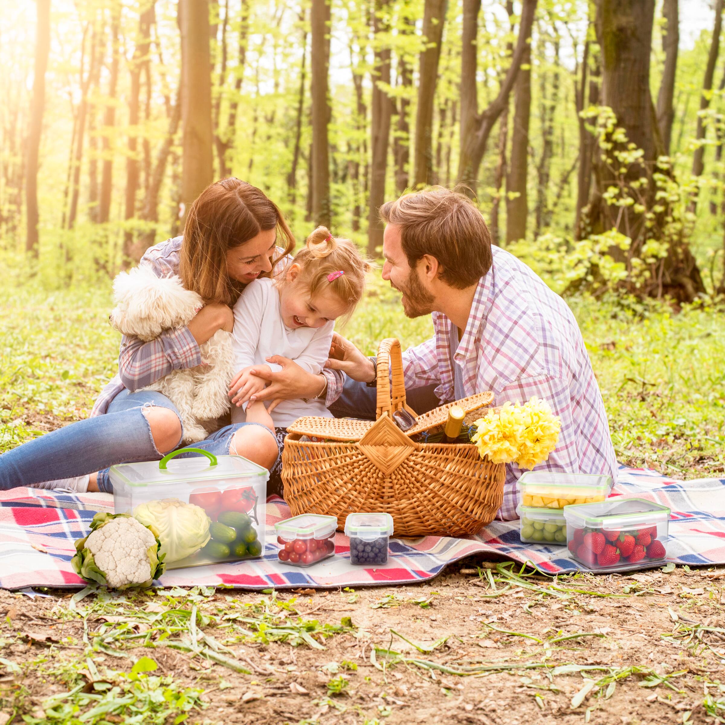 Alt View 1. Sorbus - Sorbus 12 Piece Airtight Containers With Snap-on Lids- BPA Free - For Kitchen, Pantry, Food Storage - Clear.