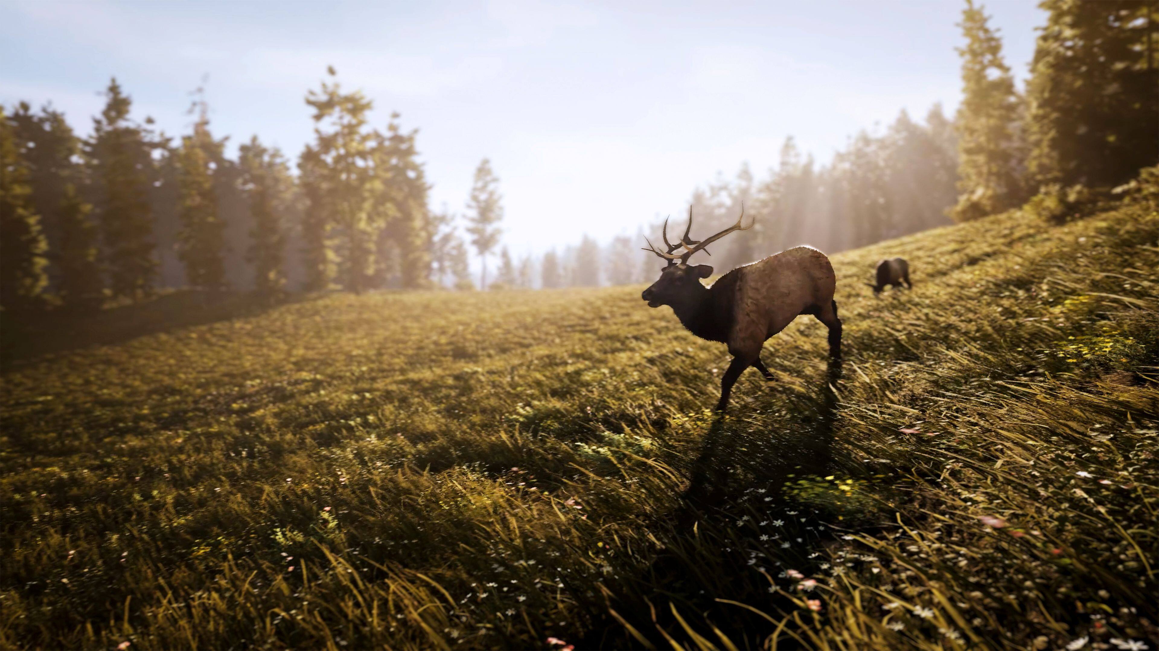 Alt View 8. Solutions 2 Go - Hunting Simulator 3 for Playstation 5.