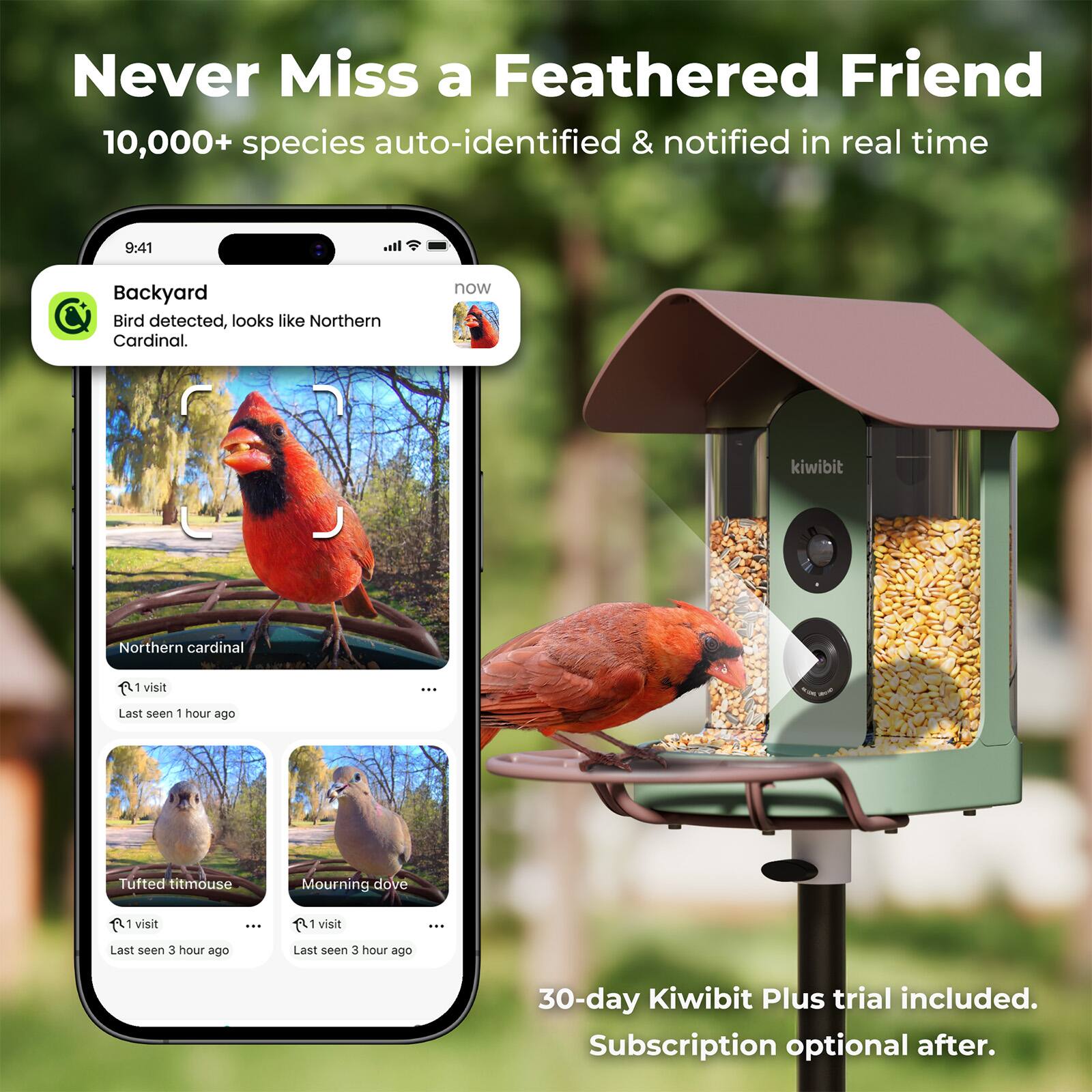 Never Miss a Feathered Friend  
10,000+ species auto-identified & notified in real time  

9:41  
Backyard  
Bird detected, looks like Northern Cardinal.  

Northern cardinal  
1 visit  
Last seen 1 hour ago  

Tufted titmouse  
1 visit  
Last seen 3 hours ago  

Mourning dove  
1 visit  
Last seen 3 hours ago  

30-day Kiwibit Plus trial included.  
Subscription optional after.