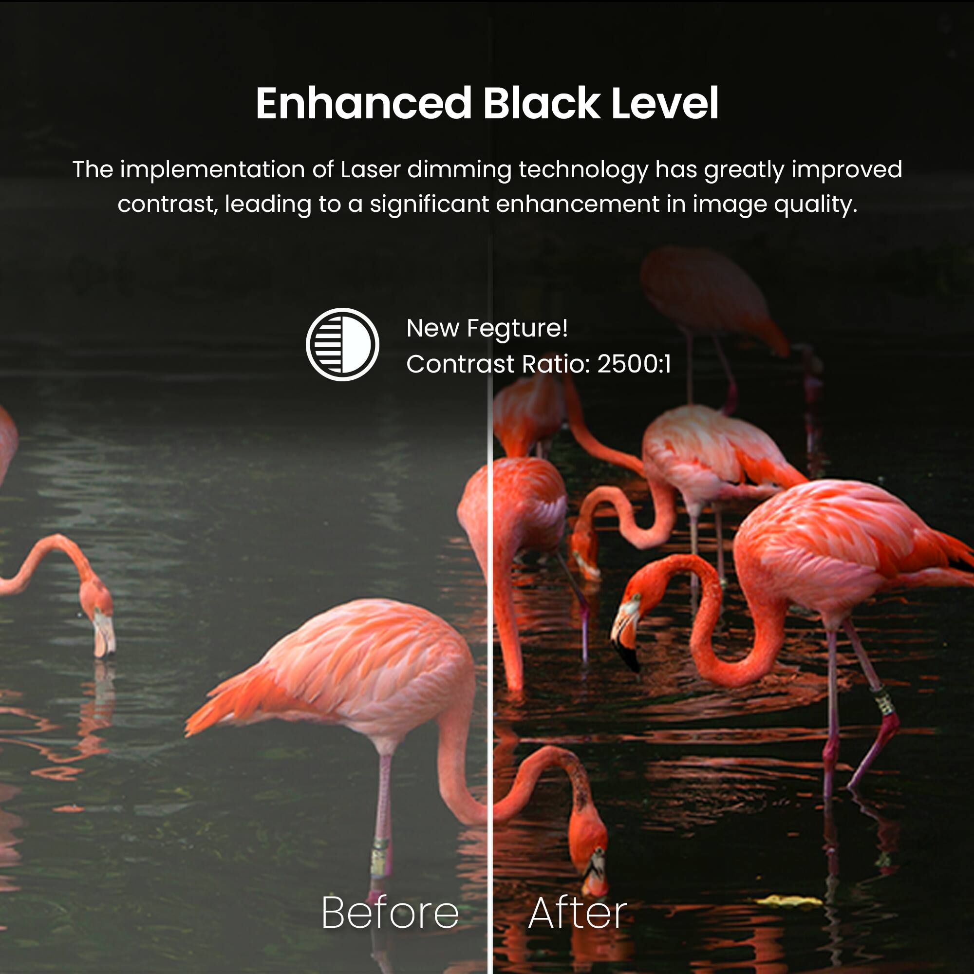 Enhanced Black Level: The implementation of Laser dimming technology has greatly improved contrast, leading to a significant enhancement in image quality. New Feature! Contrast Ratio: 2500:1 Before After