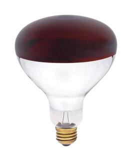 Westinghouse - 250 W R40 Reflector/Heat Lamp Incandescent Bulb E26 (Medium) Red 1 pk