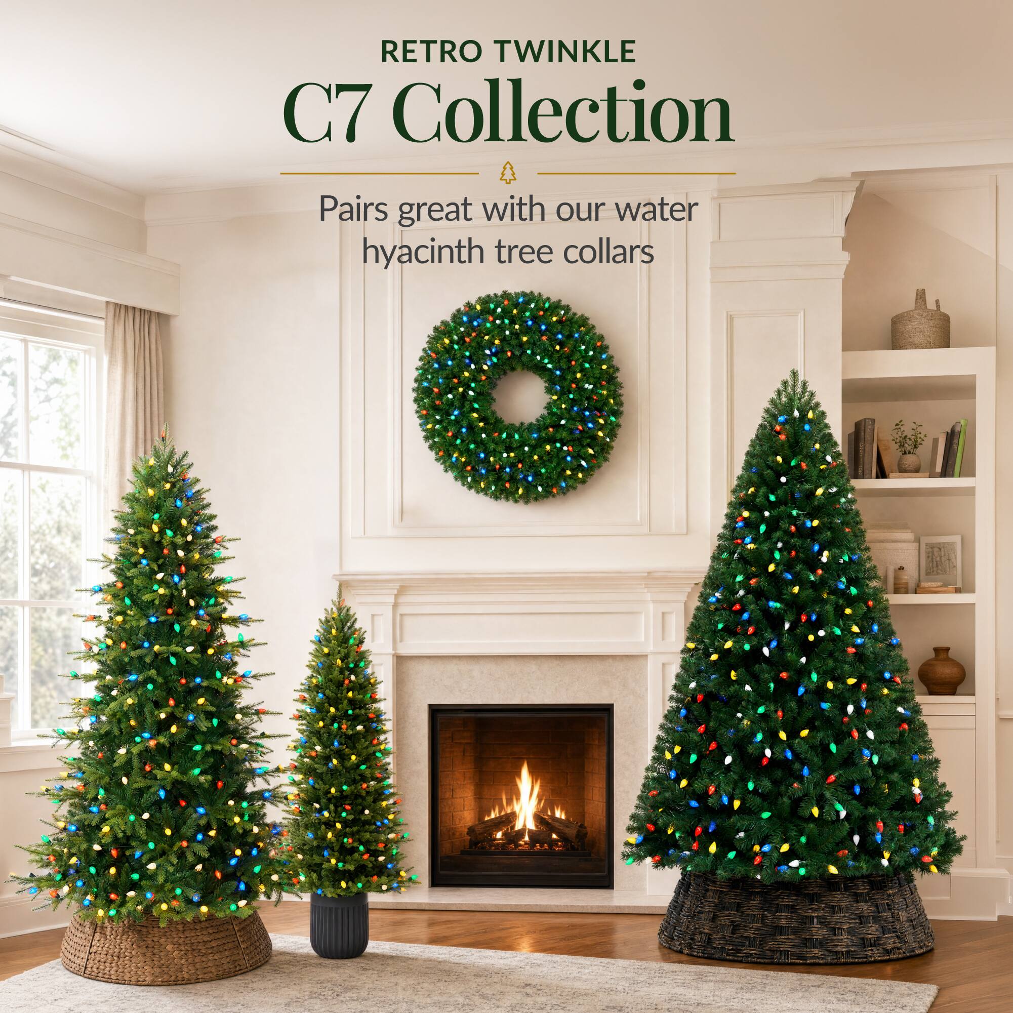 RETRO TWINKLE C7 Collection  
Pairs great with our water hyacinth tree collars