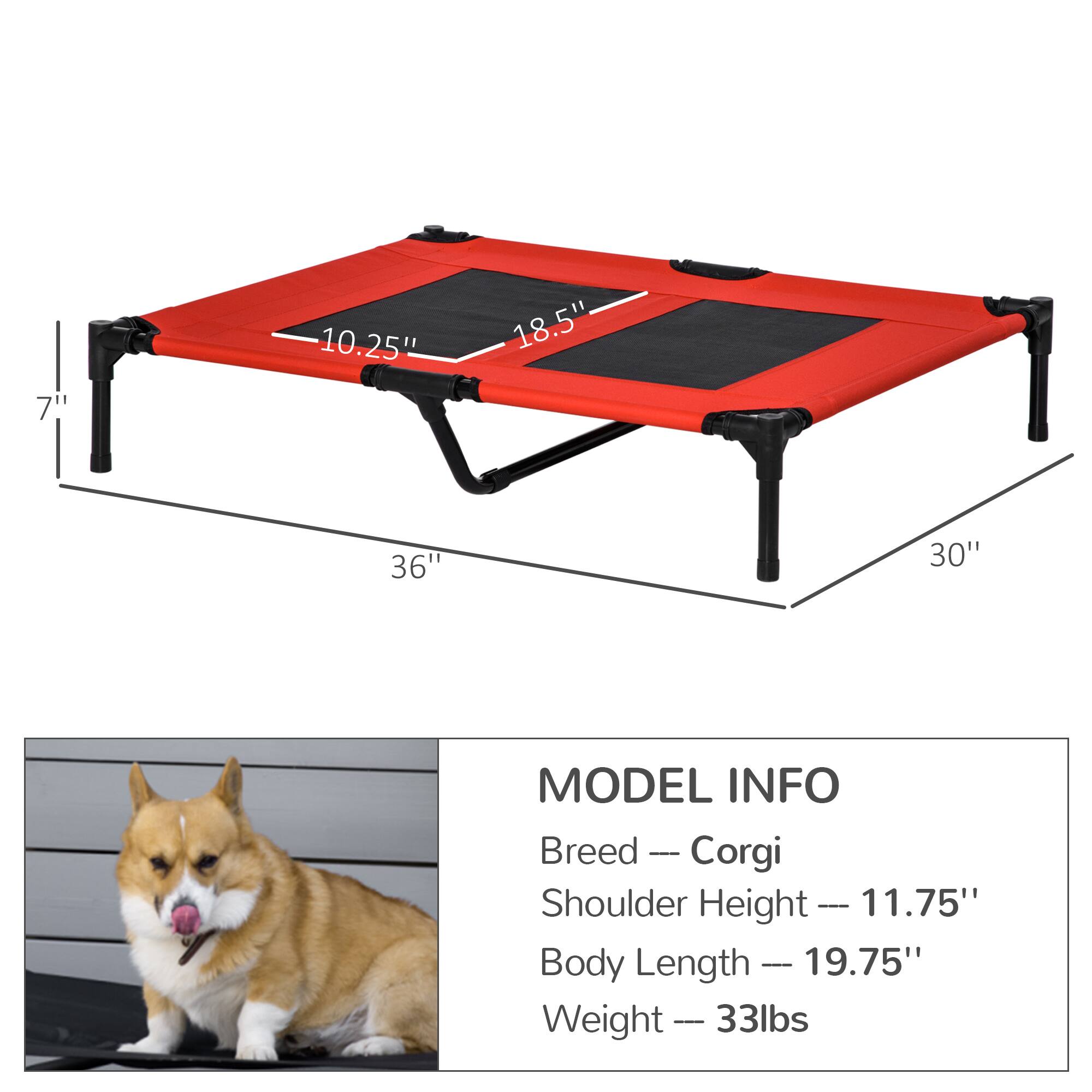 7" 10.25" 18.5" 36" 30"

MODEL INFO

Breed — Corgi  
Shoulder Height — 11.75"  
Body Length — 19.75"  
Weight — 33lbs