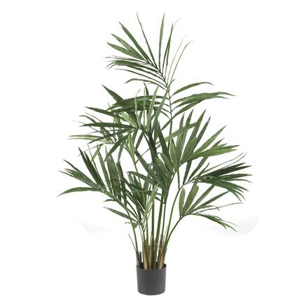Front. BreeBe - 5' Kentia Palm Tree x 7 w/124 Lvs - Green.