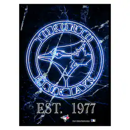 Fan Creations - Toronto Blue Jays 12'' x 16'' Framed Circle Logo Print - Black