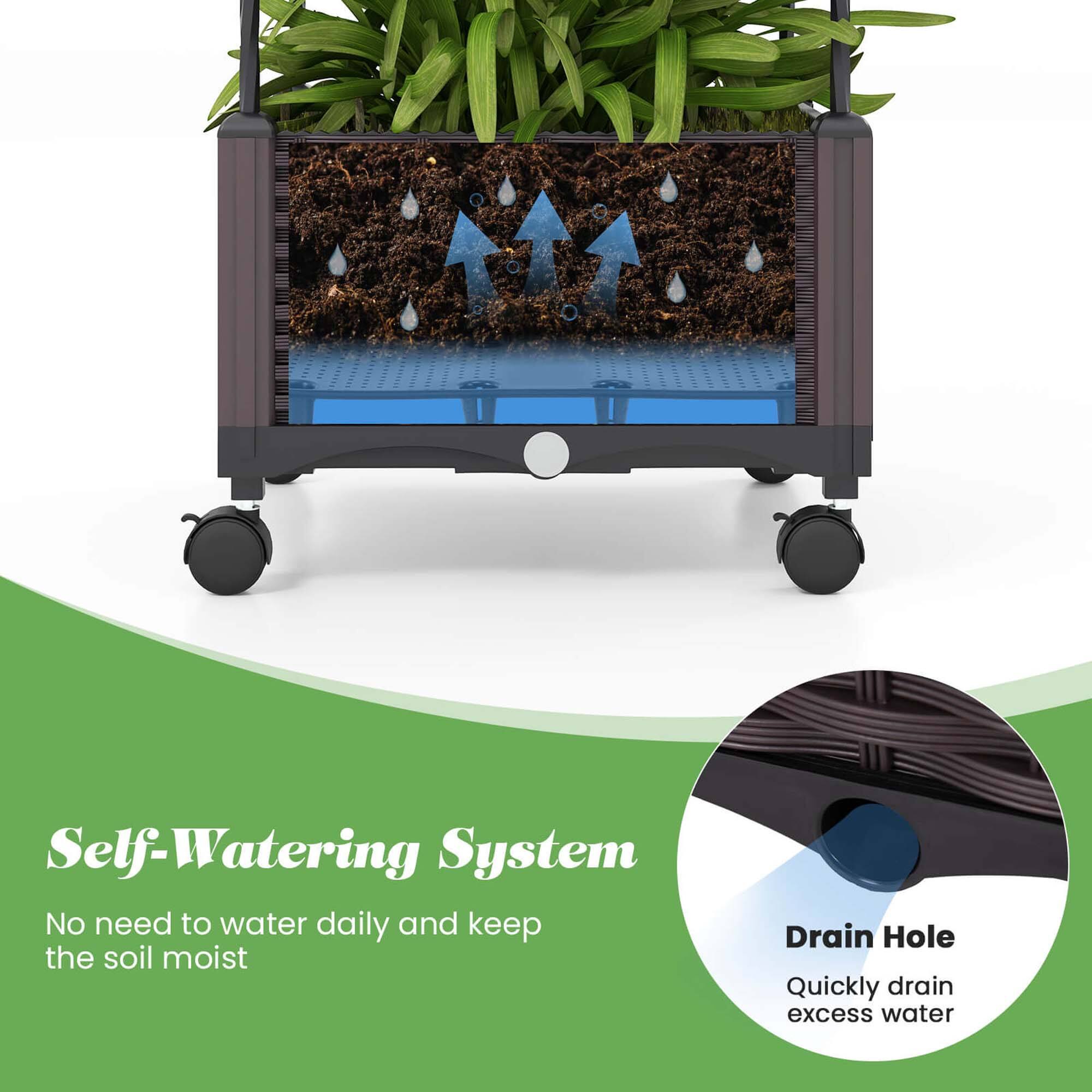 Self-Watering System: No need to water daily and keep the soil moist. Drain Hole: Quickly drain excess water.