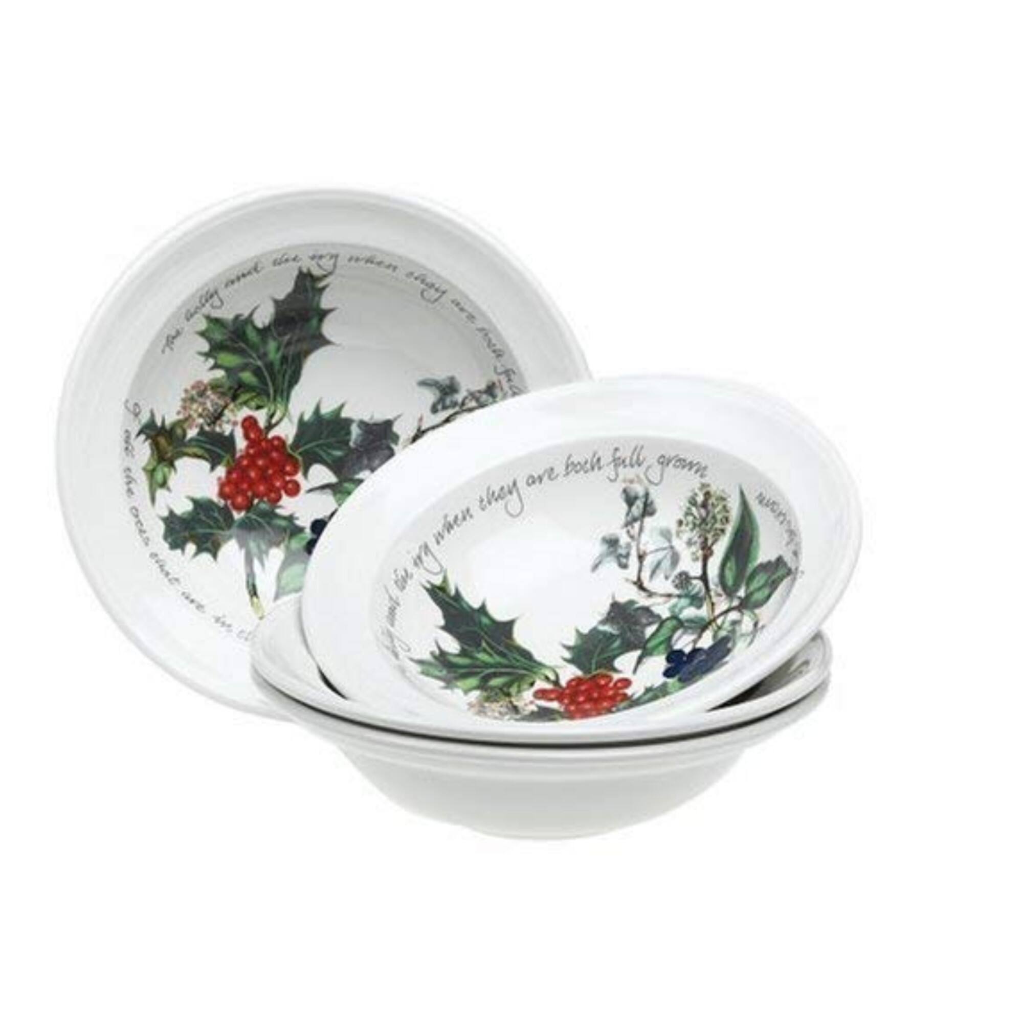 The text on the image reads: "The holly when they are both full grown and the ivy is merry."
