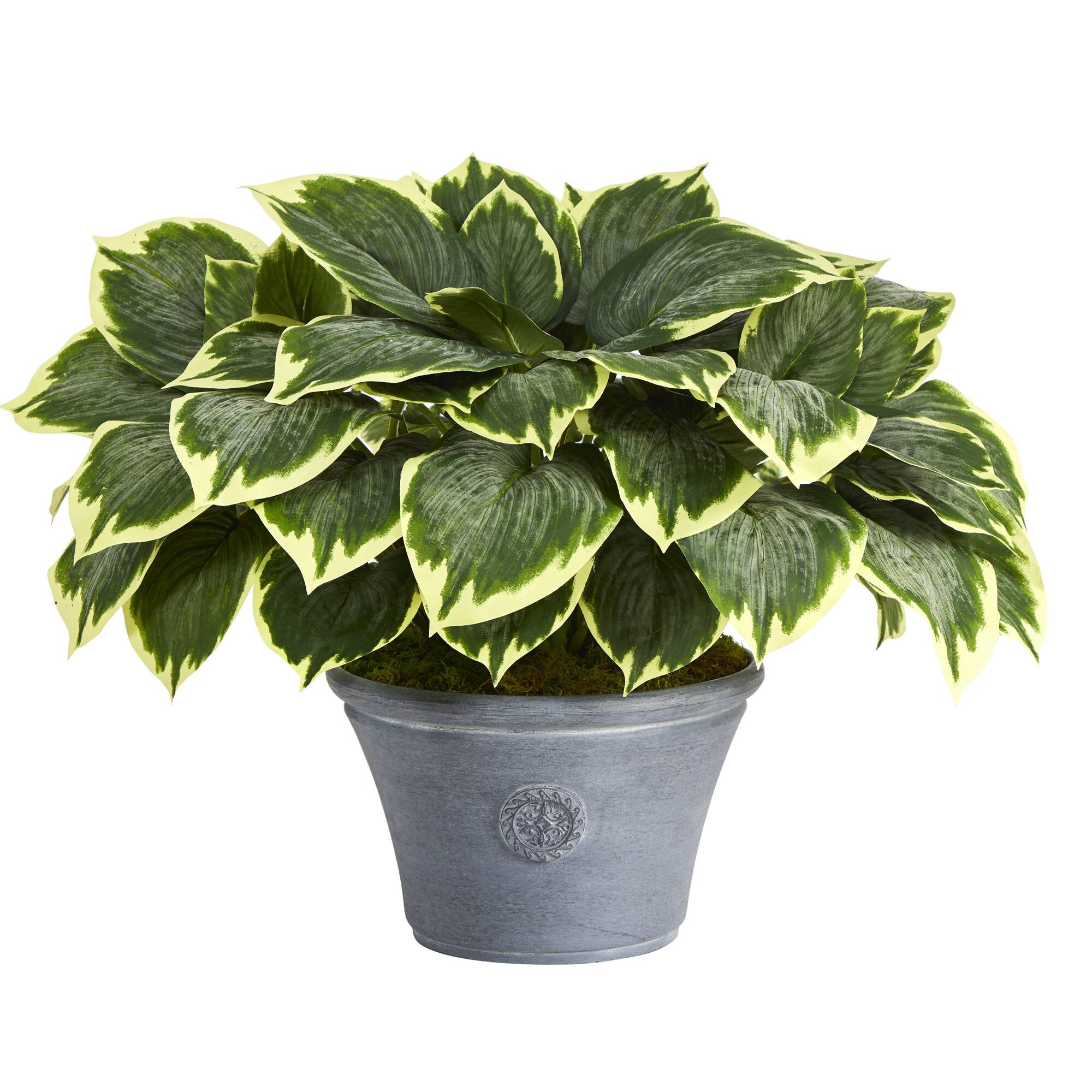 Front. BreeBe - 23" Variegated Hosta Artificial Plant in Gray Planter - Multi.